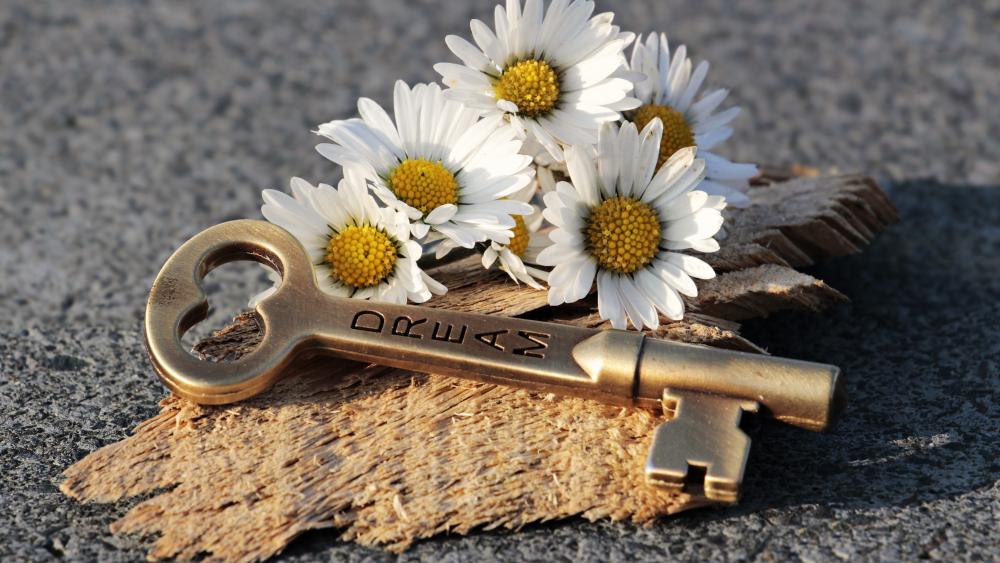 Key of dreams and daisy flowers wallpaper