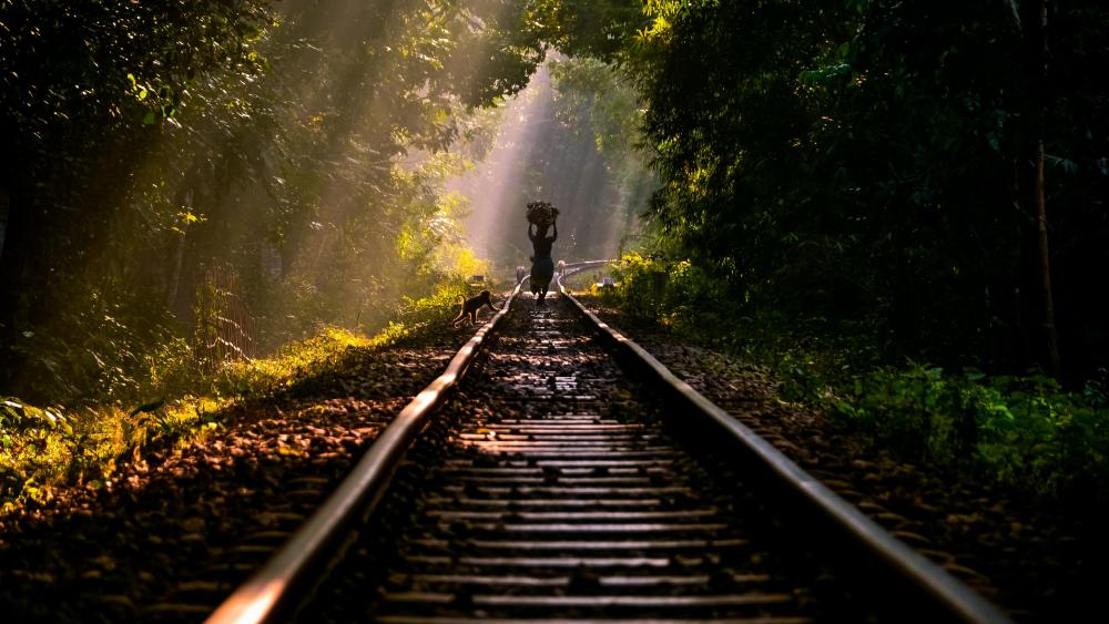 Train Tracks in Lawachara National Park, Bangladesh wallpaper