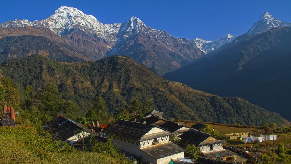 Himalayan wallpaper