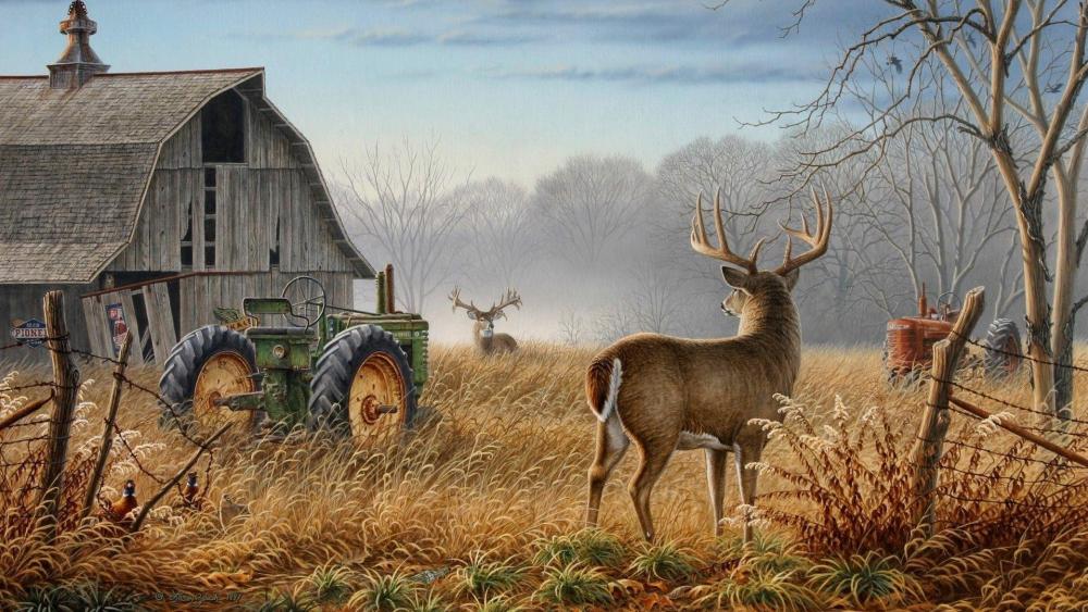 Whitetail deers in the old farm wallpaper