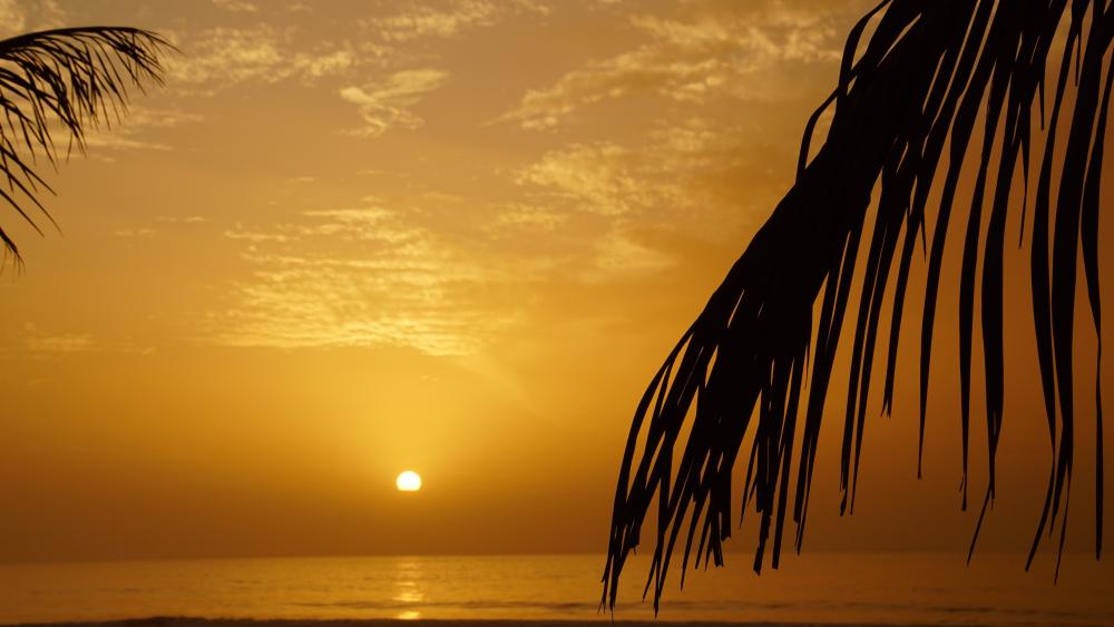 Sunset by the sea in Gambia wallpaper