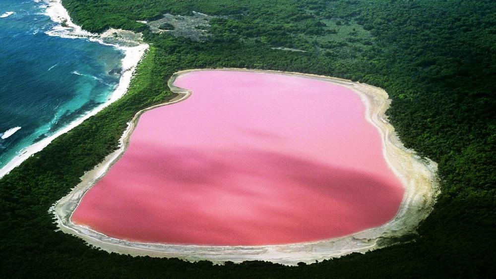 Natural Pink Lake Retba, Senegal wallpaper
