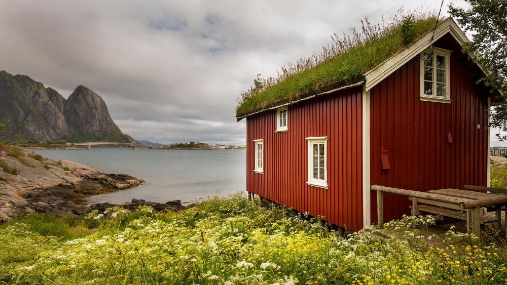 Hamnoy turf house wallpaper