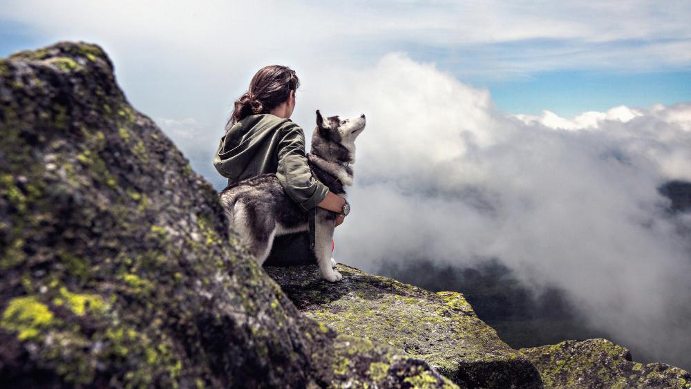 Girl with a Siberian Husky wallpaper