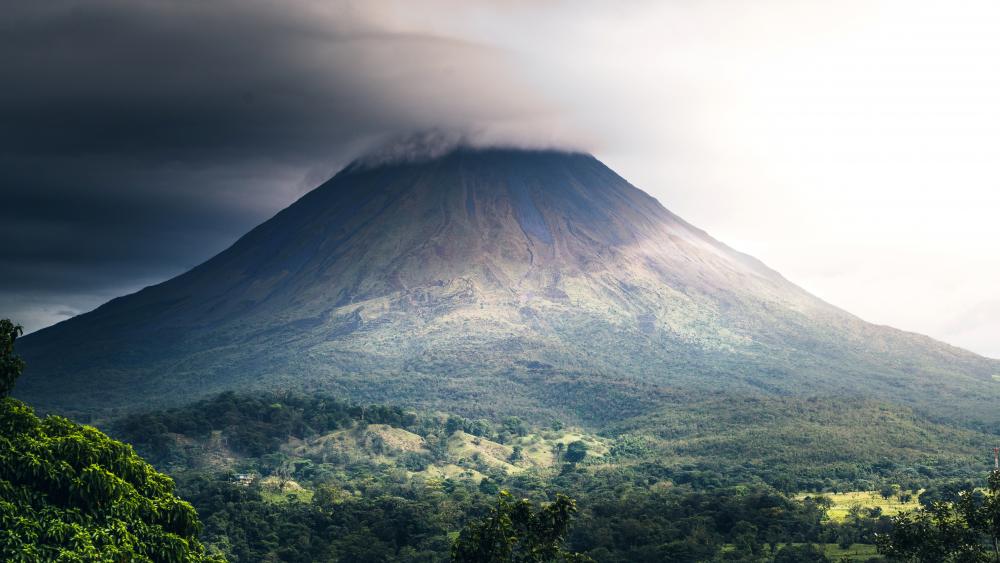 Wallpaper from nature category