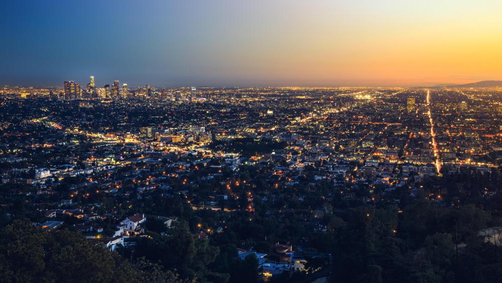 Los Angeles Evening Cityscape wallpaper