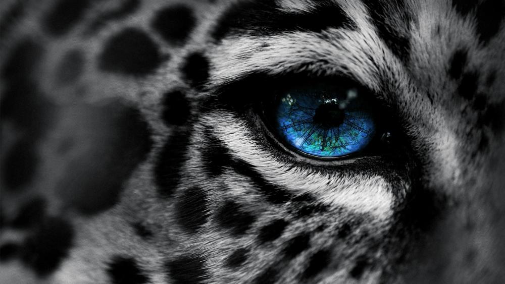 Wallpaper from animals category