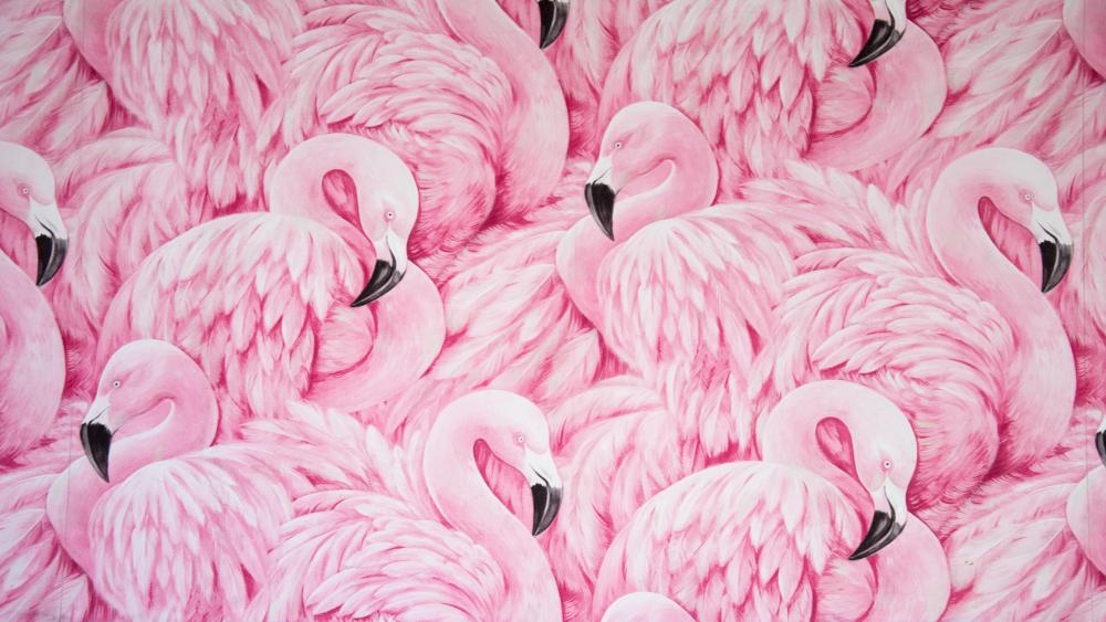 Pink flamingos wallpaper