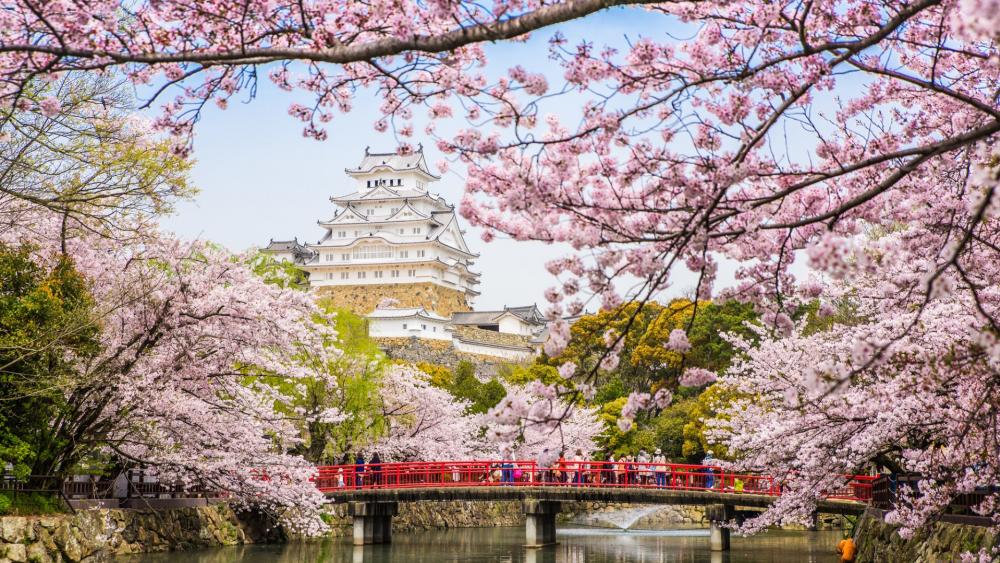 Himeji Castle - backiee