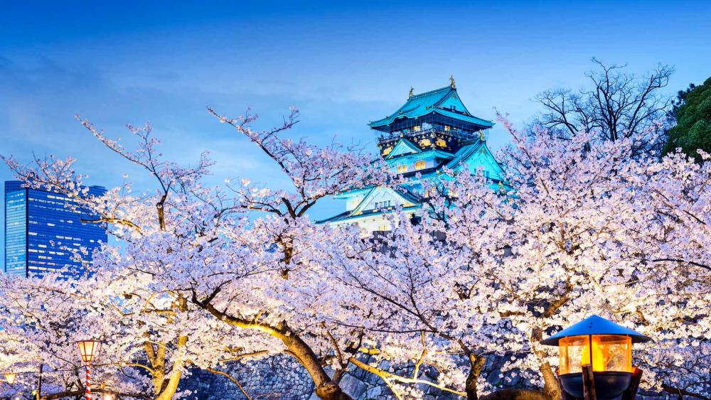 Osaka Castle during the spring season wallpaper