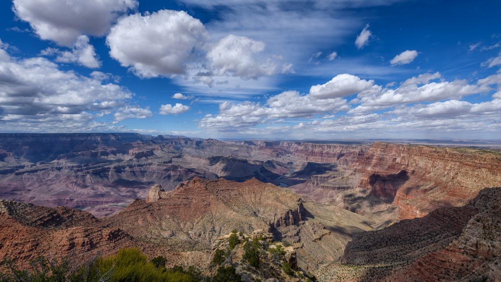 View of the south rim of the Grand Canyon from Navajo Point, Arizona wallpaper