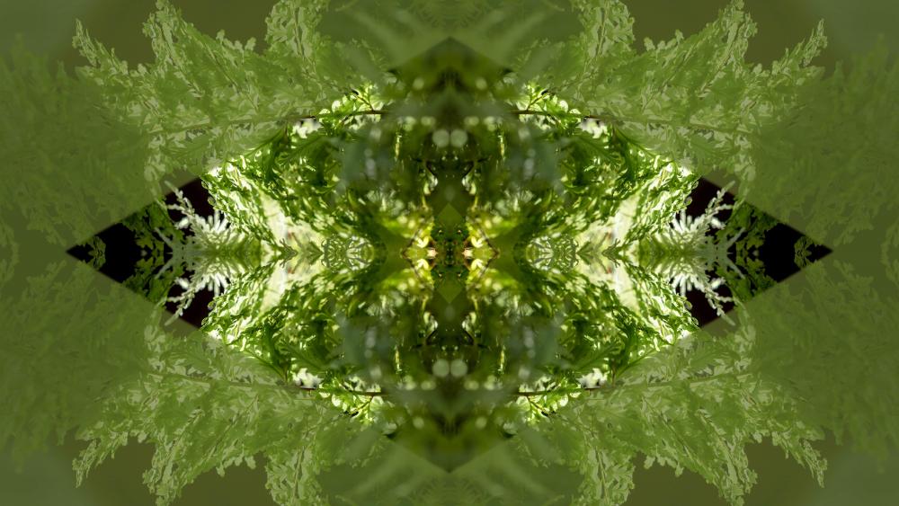 Wallpaper from abstract category
