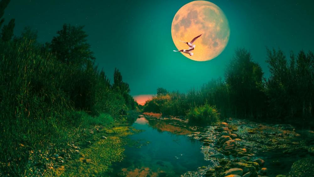 Wallpaper from nature category