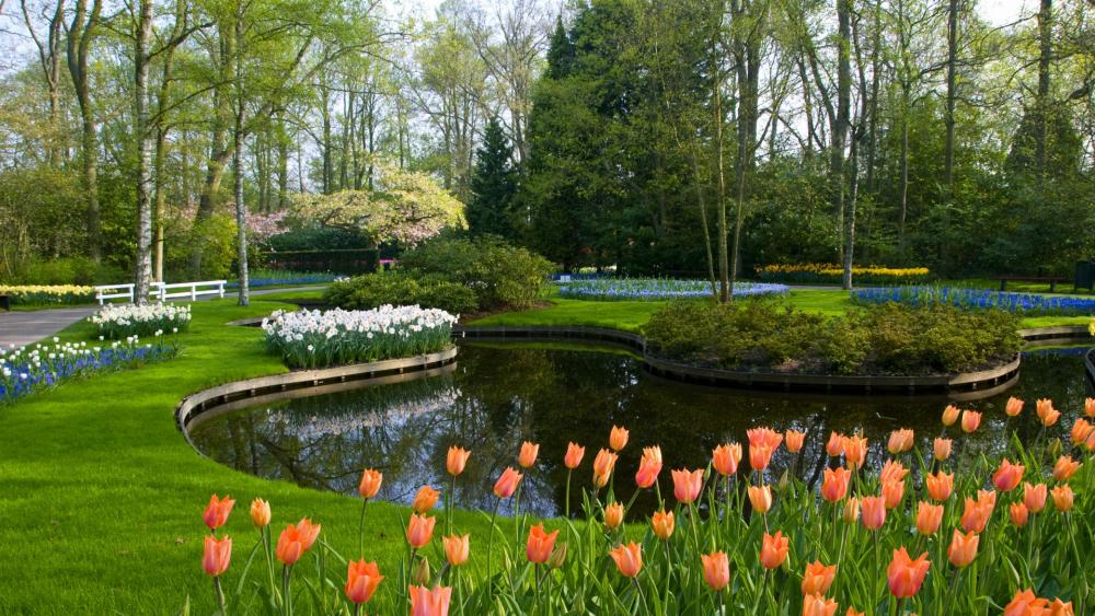Keukenhof wallpaper