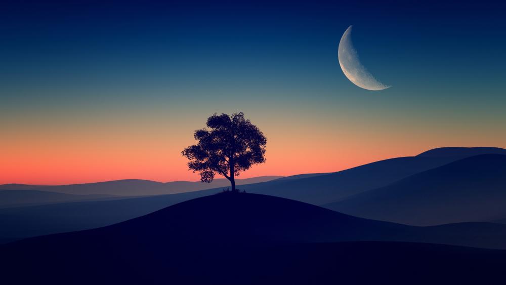 Tree Alone Dark Evening wallpaper