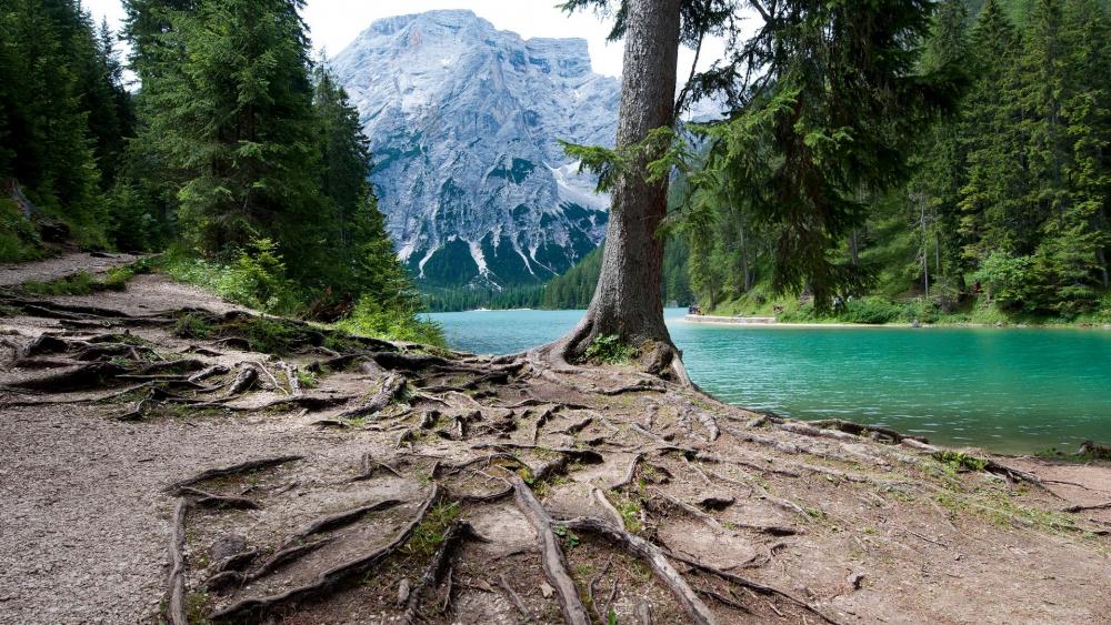 Lago Di Braies, Italy wallpaper