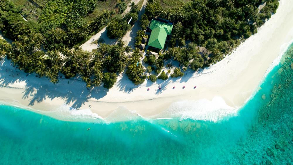 Tropical beach from above wallpaper