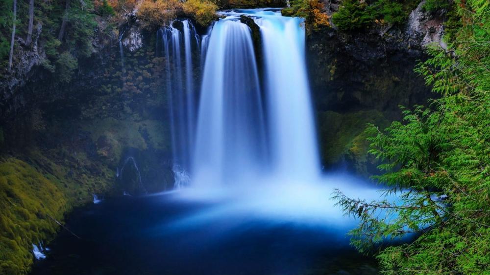 Willamette National Forest - backiee