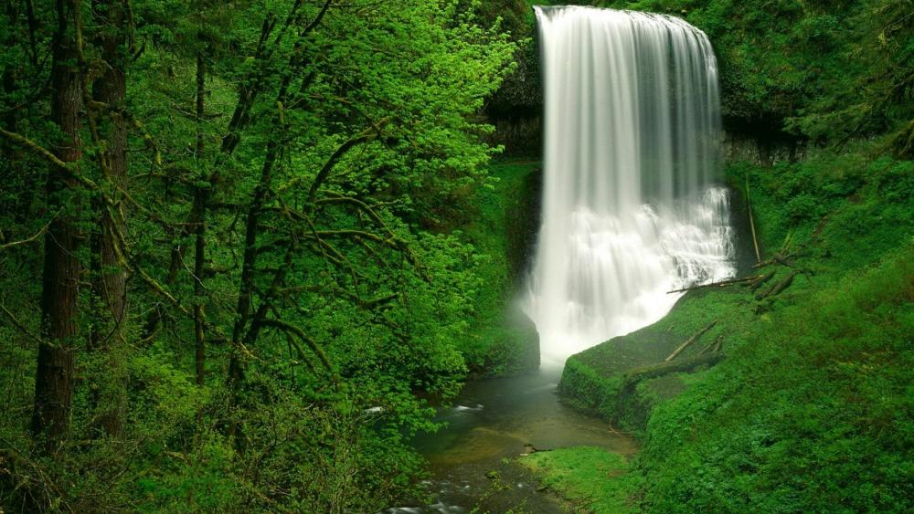 Silver Falls State Park, North Falls wallpaper - backiee