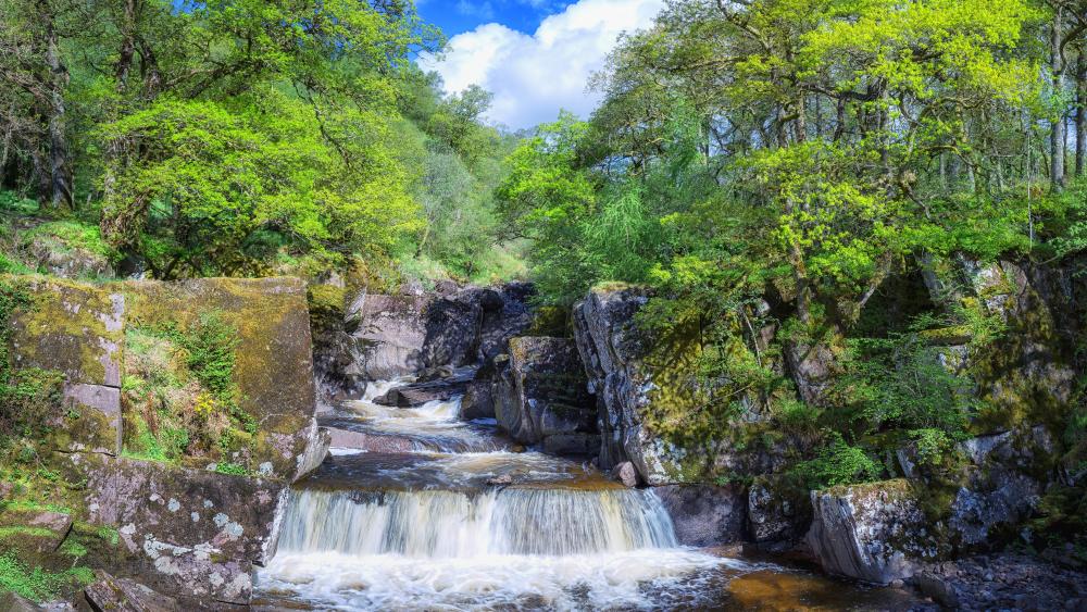 Loch Lomond and The Trossachs National Park wallpaper