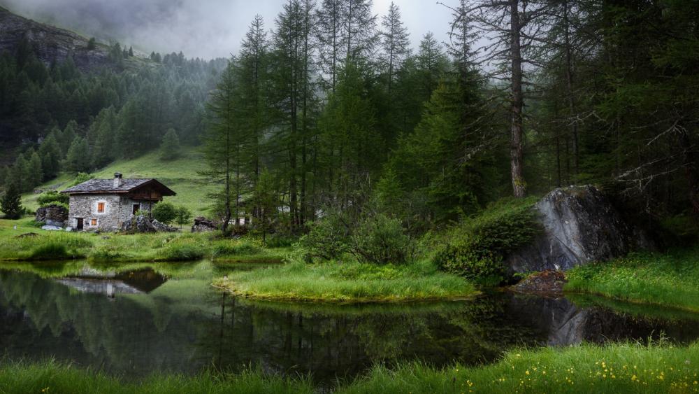 French Alps at summer wallpaper