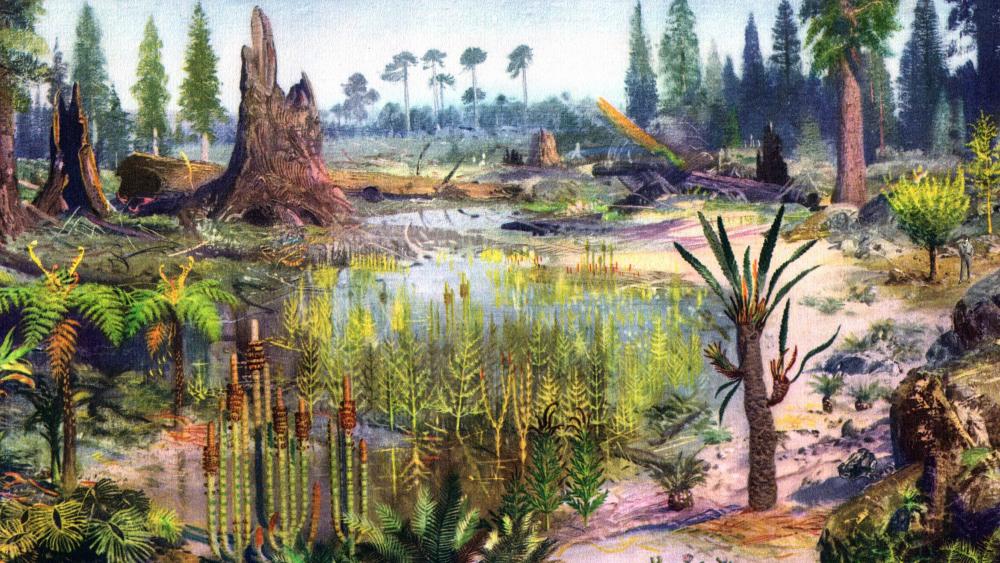 Nature Before - Digital Landscape wallpaper