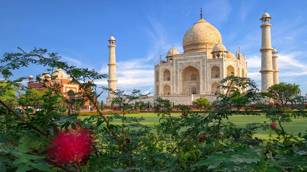 High Resolution Taj Mahal Hd Wallpapers Desktop Background