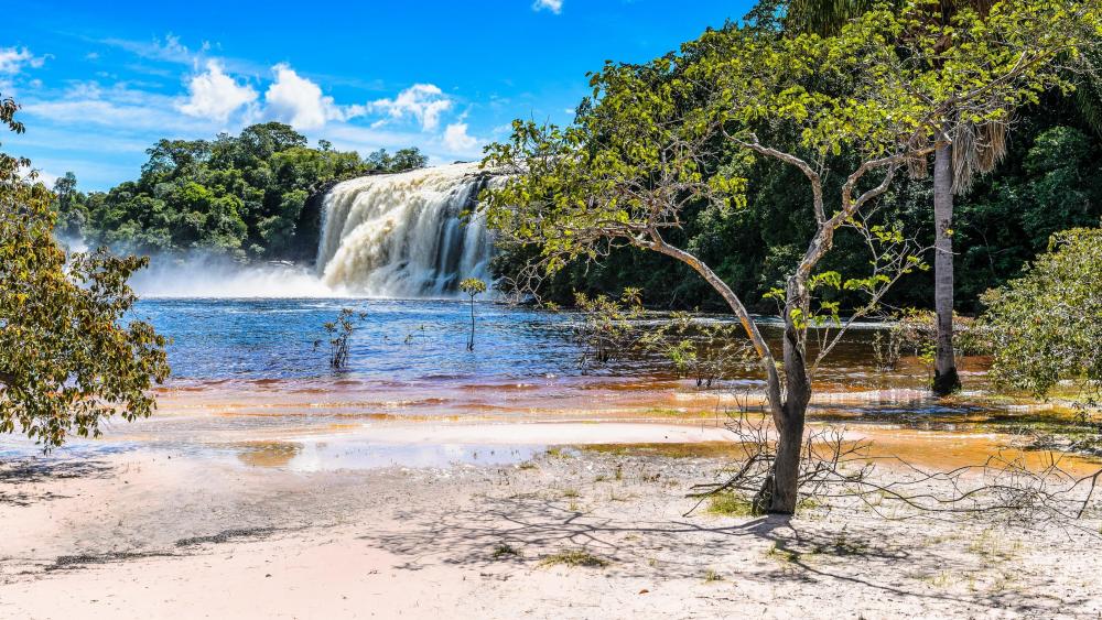 El Hacha Waterfall, Canaima National Park wallpaper