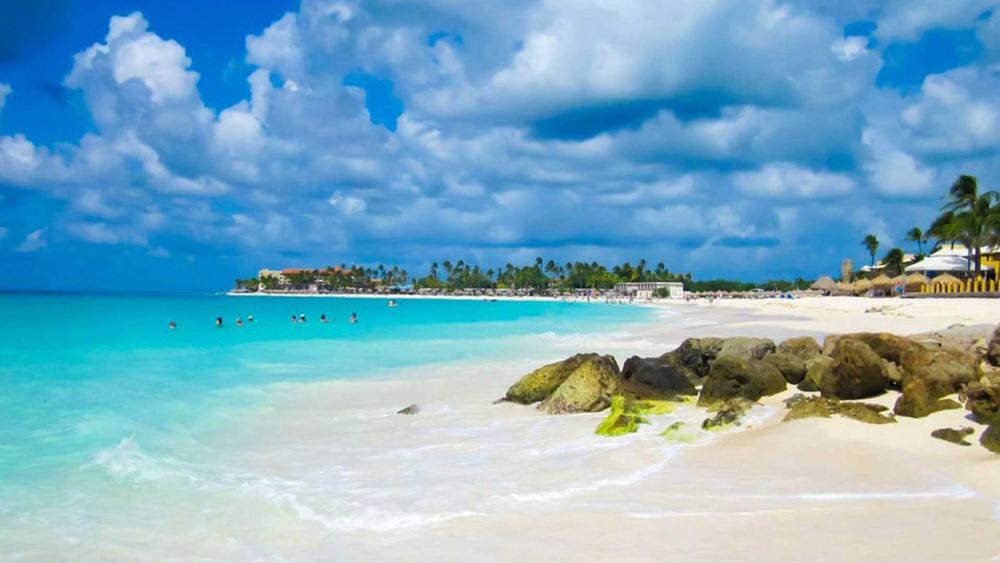 Beach in Aruba wallpaper - backiee