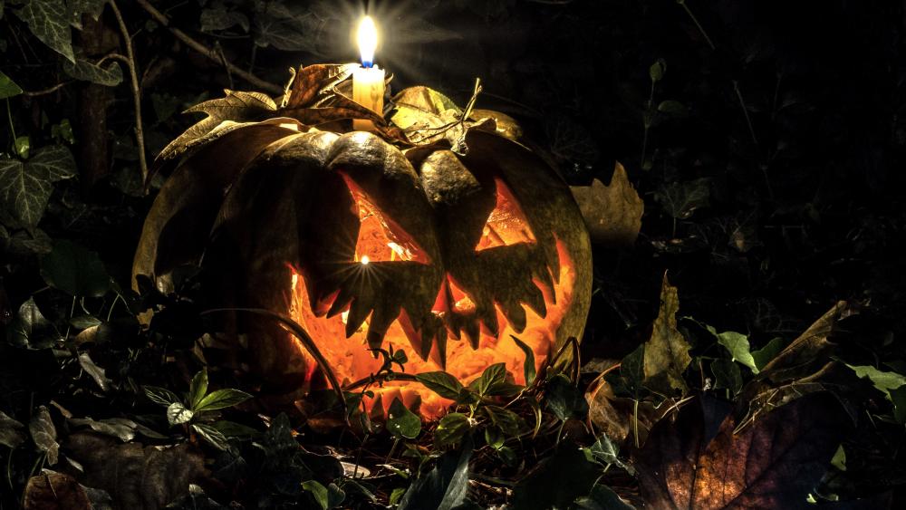 Trick or Treat Halloween Decoration wallpaper