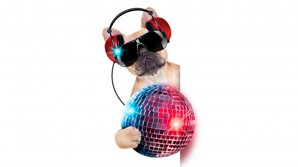 French bulldog DJ wallpaper