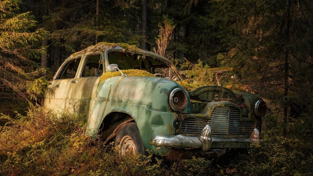 Rusty car in a forest wallpaper