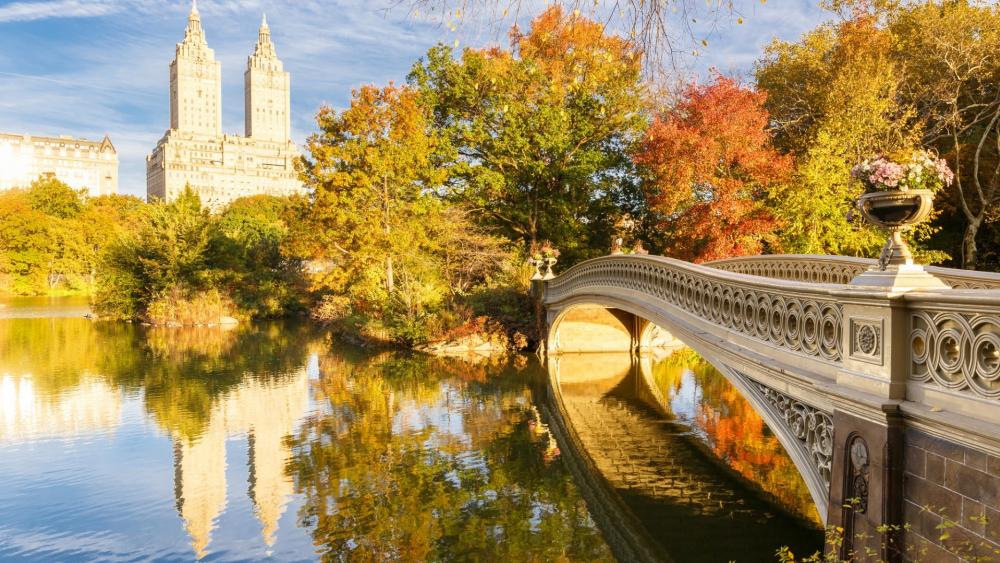 Bow Bridge Central Park - Backiee