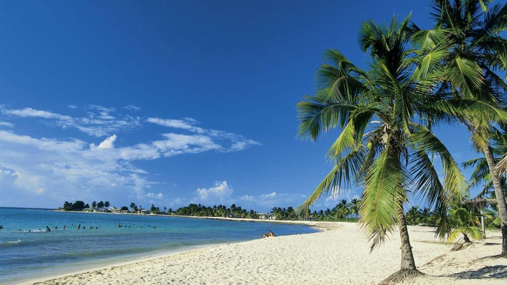 Tropical beach in Cuba wallpaper
