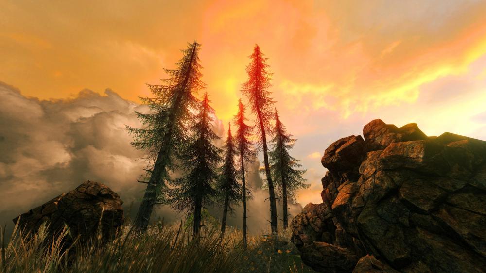Fir trees between boulders under cloudy sky during sunset wallpaper