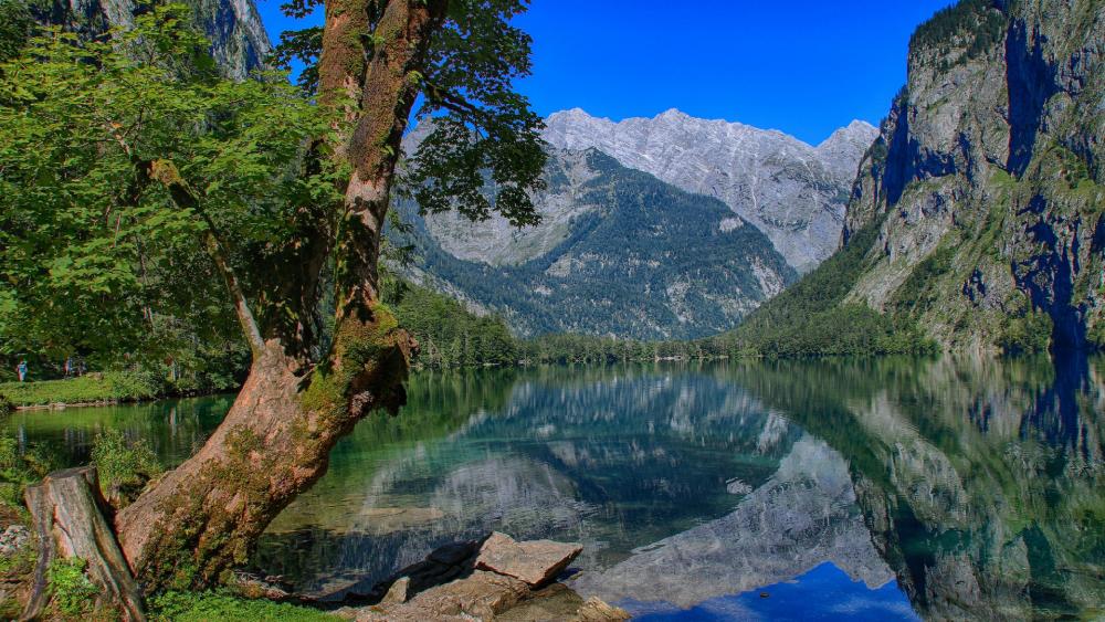 Berchtesgaden National Park - backiee