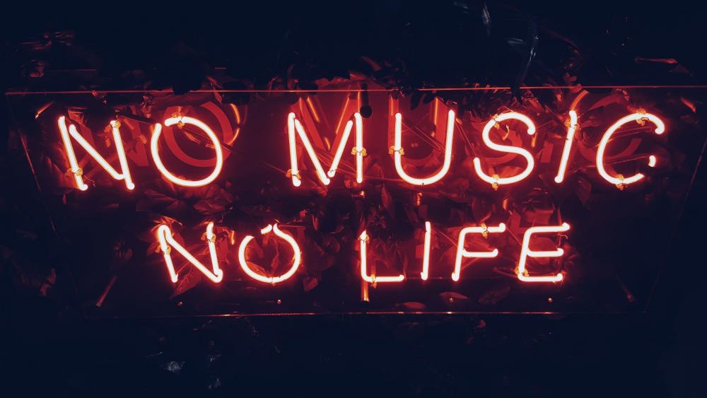 No music no life wallpaper