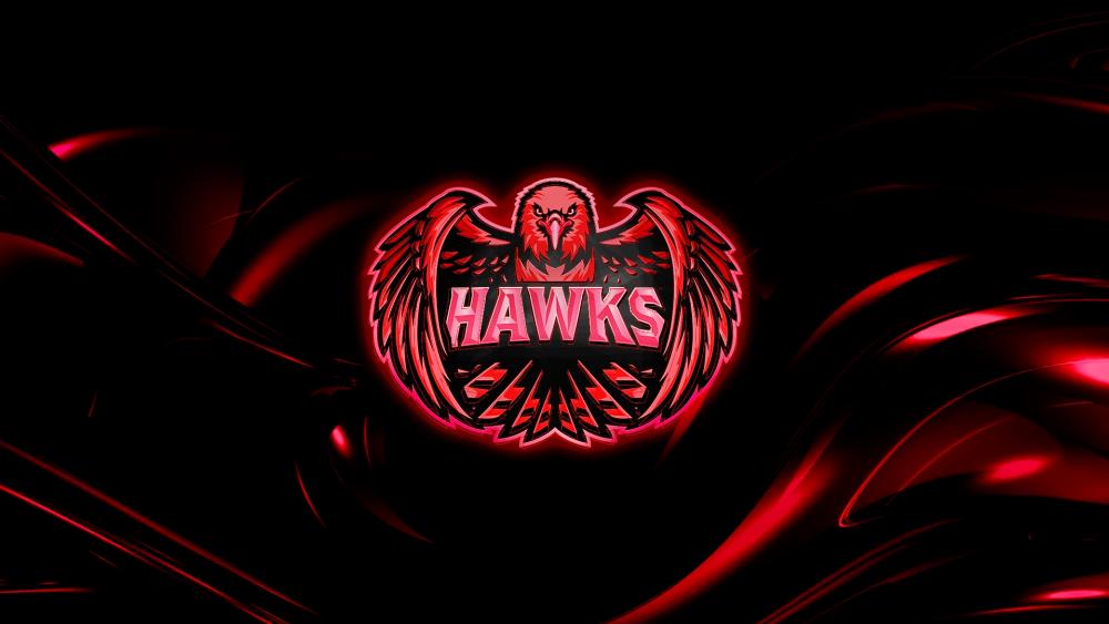 Hawks wallpaper - backiee