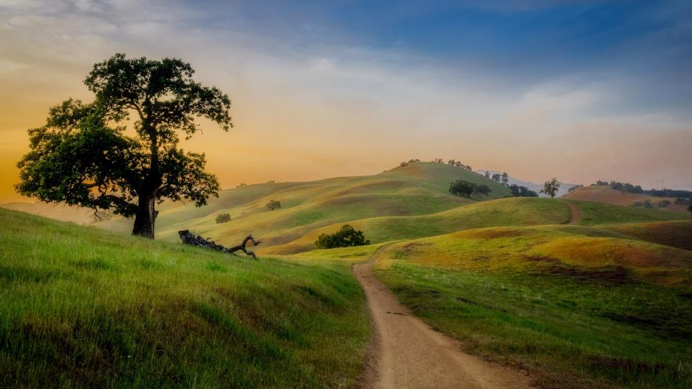 Wallpaper from nature category