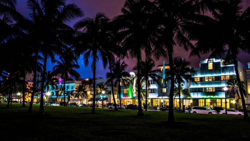 Miami by night wallpaper