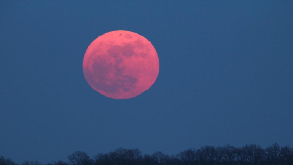 Red supermoon wallpaper