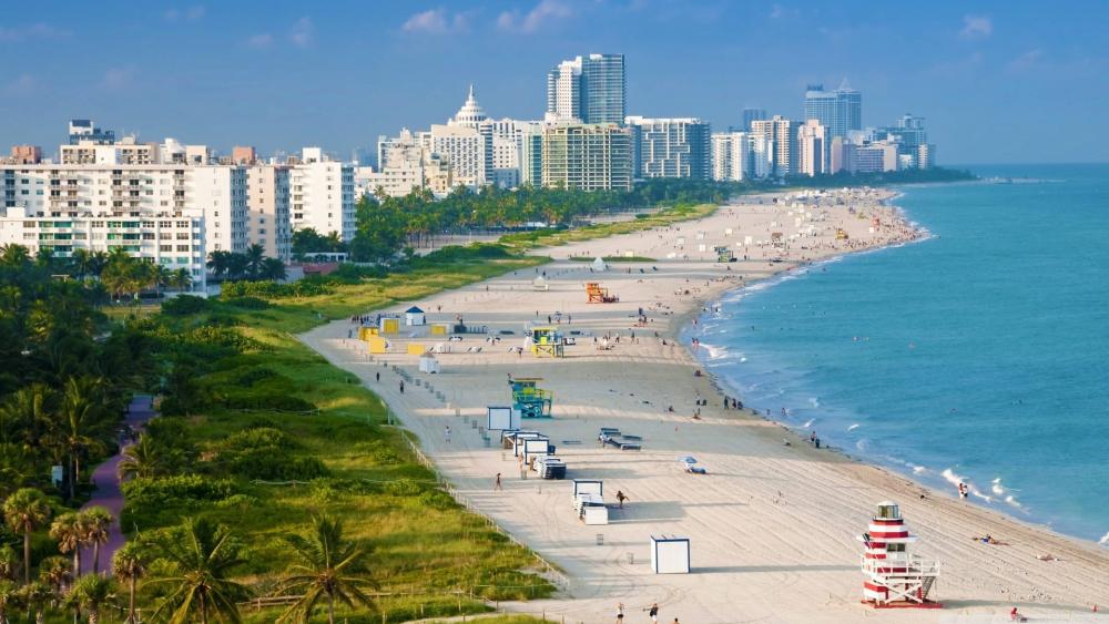 Miami beach at daytime wallpaper