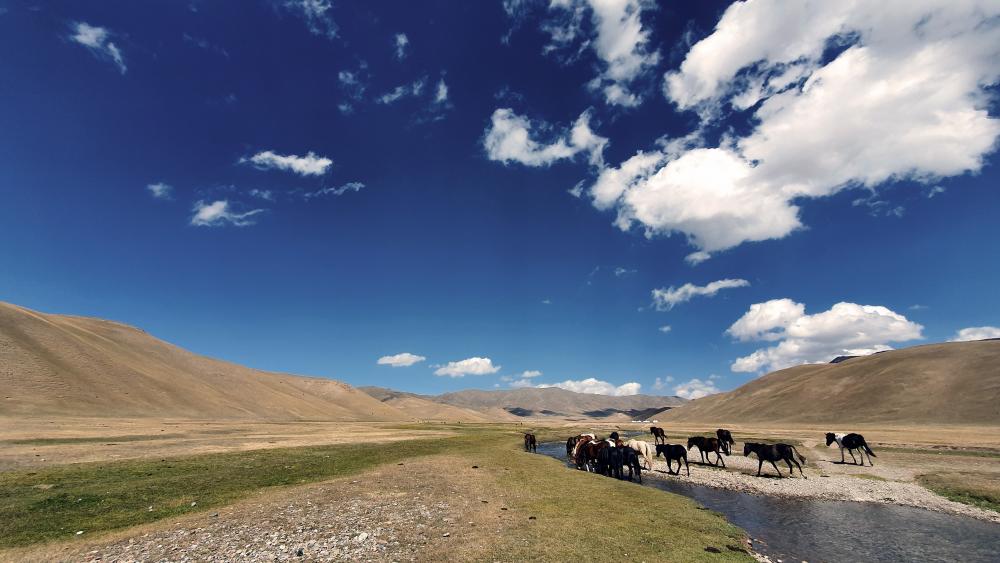 Kyrgyzstan, Trail to Song-kul lake wallpaper