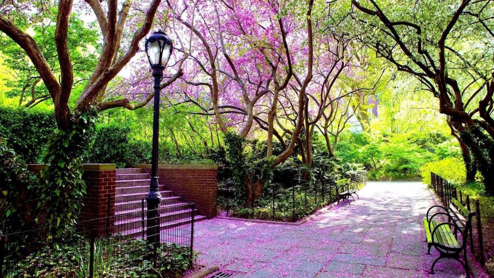 Spring in a Japanese park wallpaper