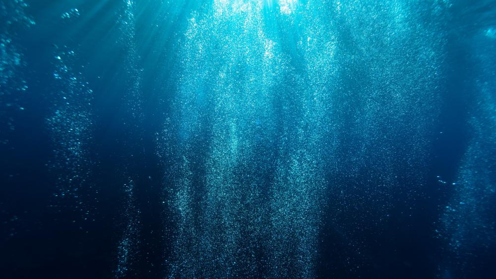Underwater sunlight wallpaper
