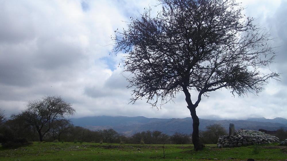 Dak Ismail Khel Ziarat View wallpaper