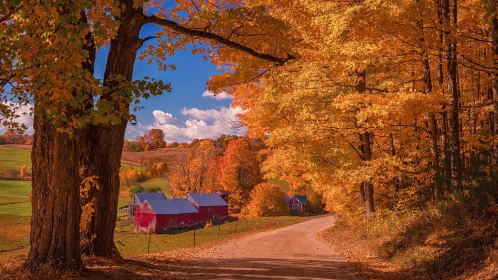 Jenne Farm wallpaper