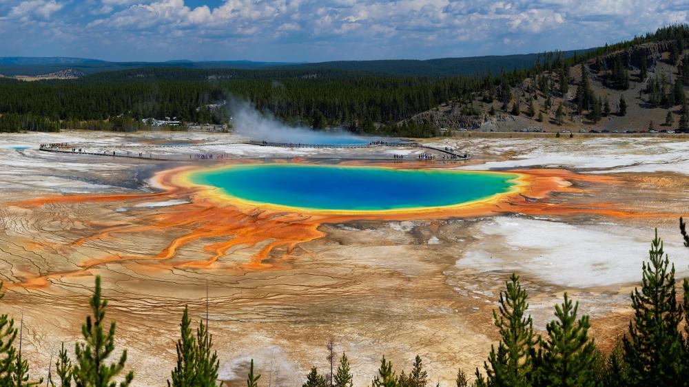 Grand Prismatic Spring, Yellowstone - backiee