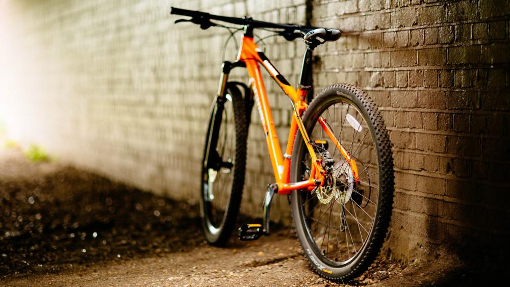 Bike Orange wallpaper