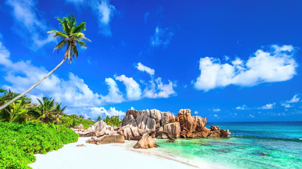 Premium Photo | Beautiful beach in Seychelles with rocks and palm trees  blue Indian Ocean and picturesque sky